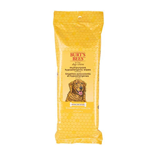 Burt's Bees for Pets wipes spot-clean the coat between baths.