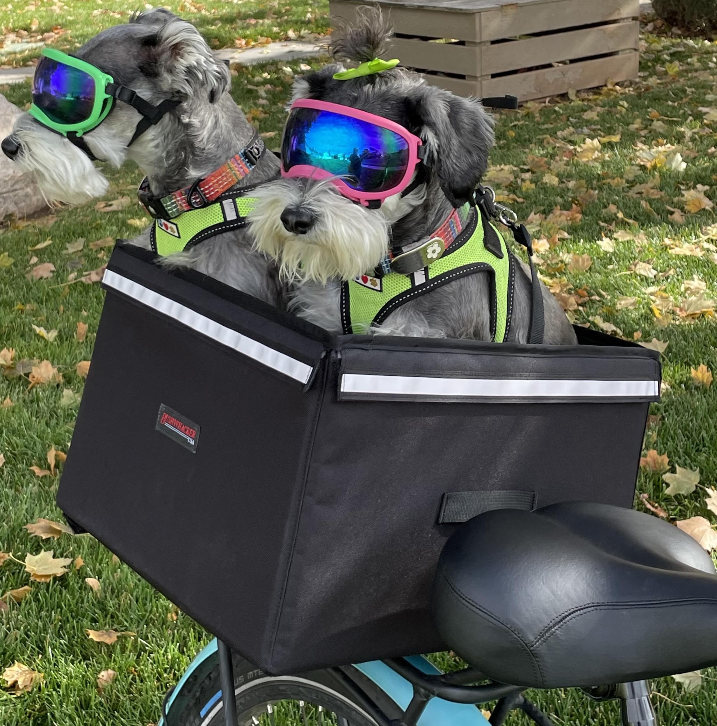 Bushwhacker Portland dog carrier front view with secure straps for stable rides.