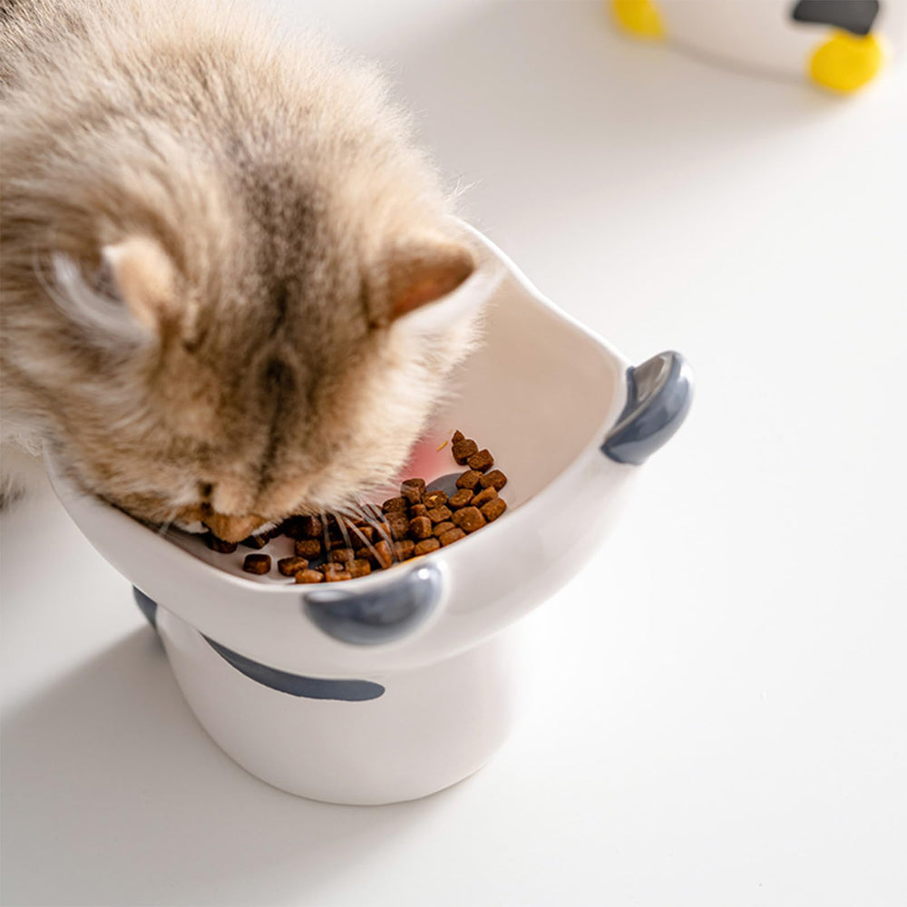 Busnos ceramic bowl is dishwasher and microwave safe for easy cleaning