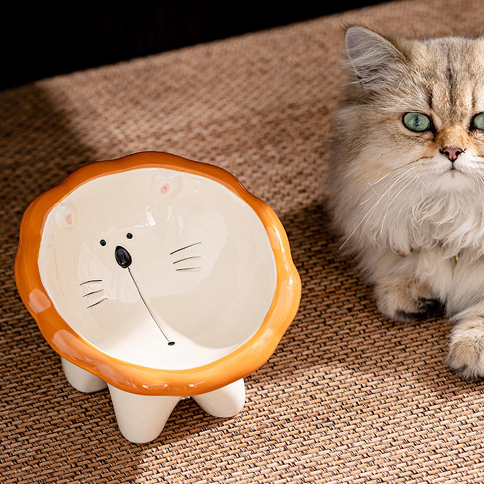 Busnos elevated cat bowl with 15-degree tilt reduces neck strain