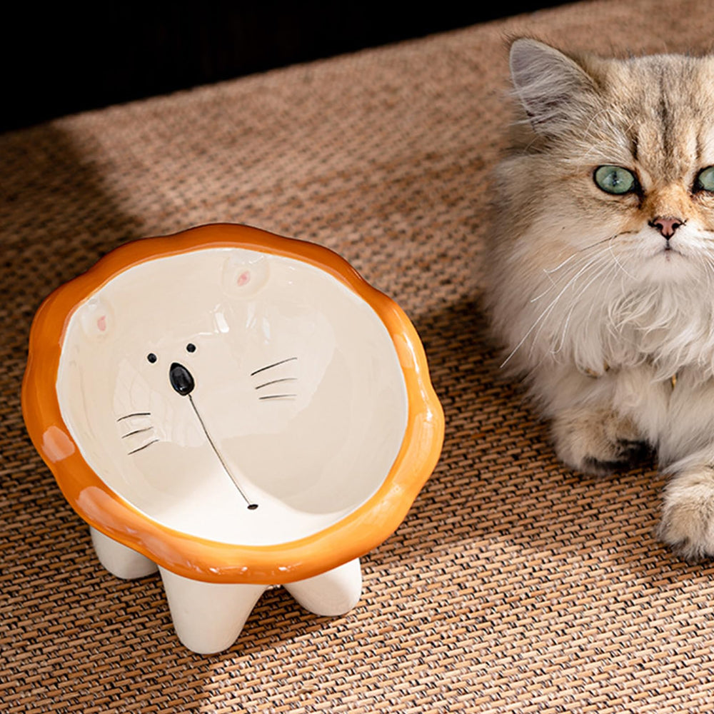 Busnos elevated cat bowl with 15-degree tilt reduces neck strain
