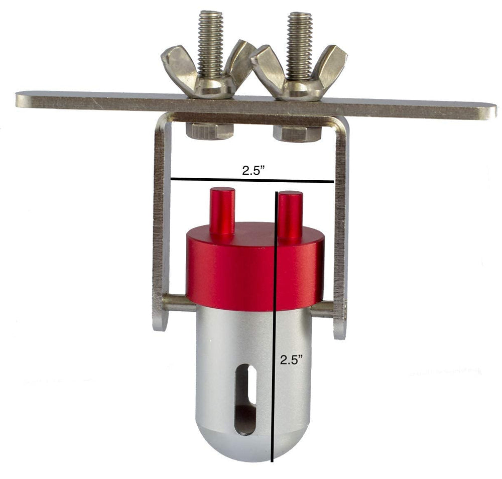 Busy Bird Goodie Gadget African Grey using foraging toy