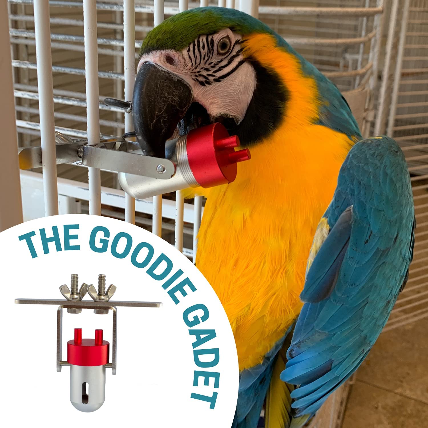 Busy Bird Goodie Gadget Macaw enjoying puzzle and rewards