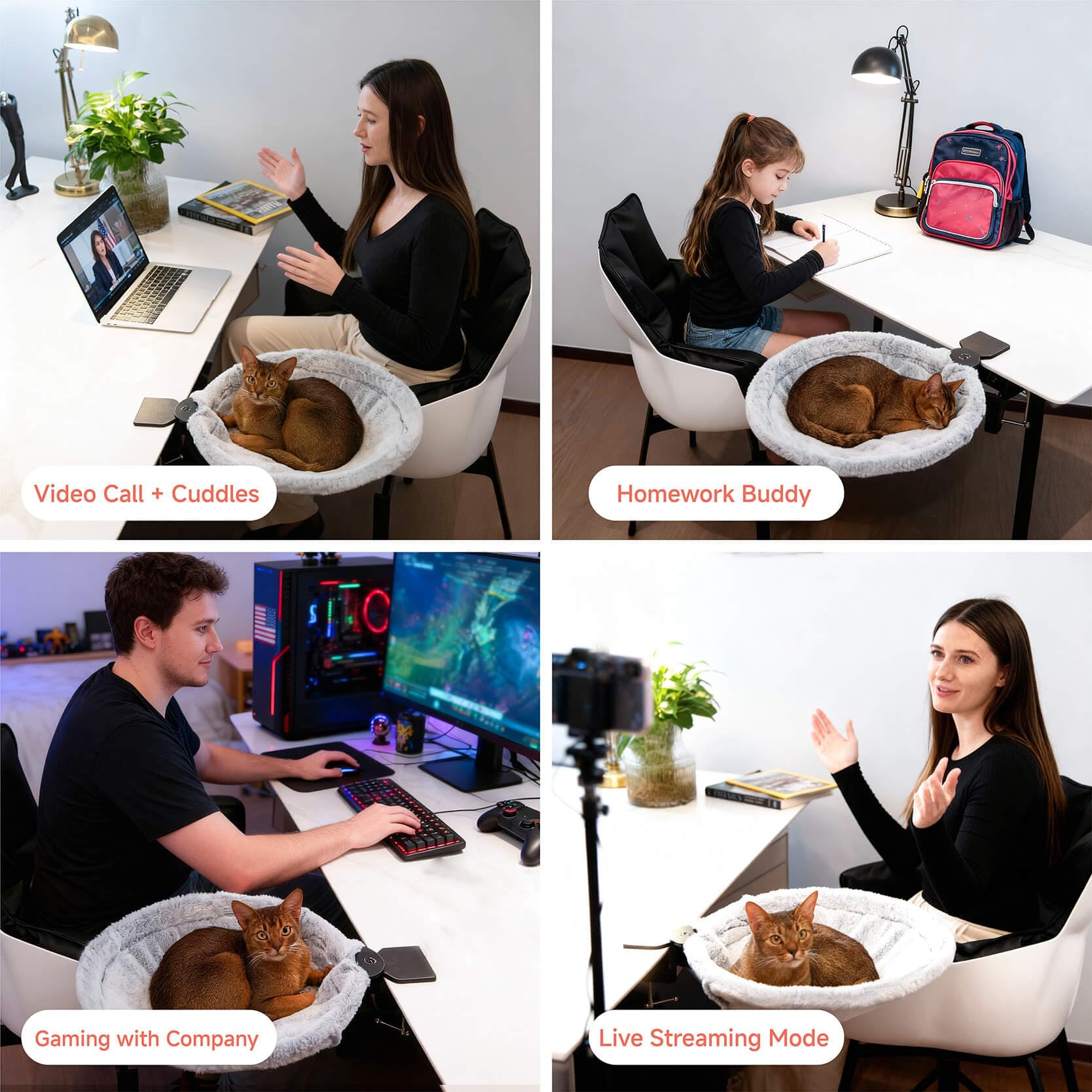 ButtonwoodNest cat desk perch keeps your feline close for quick bonding during work.