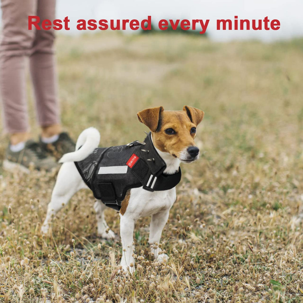 BUVUB dog protection vest worn by a canine during forest adventures for added defense.