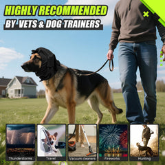 BUWZUJR dog ear muffs shown during vet visits for calmer dogs