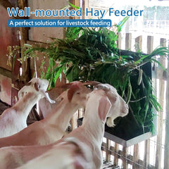 BUYYAH goat side angle shows easy access and improved feeding flow.