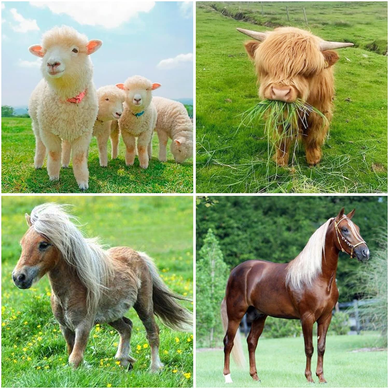 BUYYAH hay feeder indoor-outdoor use suits versatile farm environments.