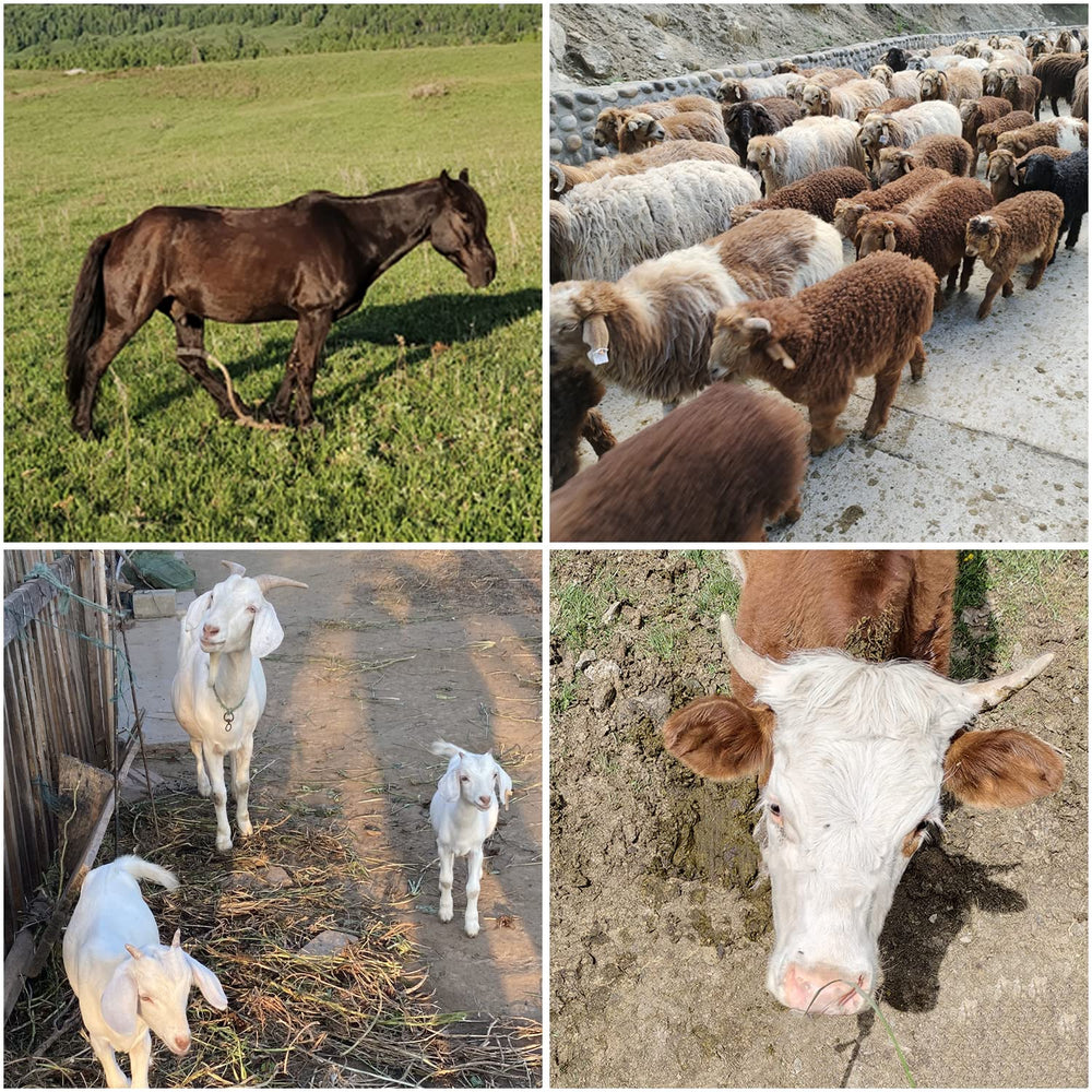BUYYAH hay feeder installation tools included for quick setup.