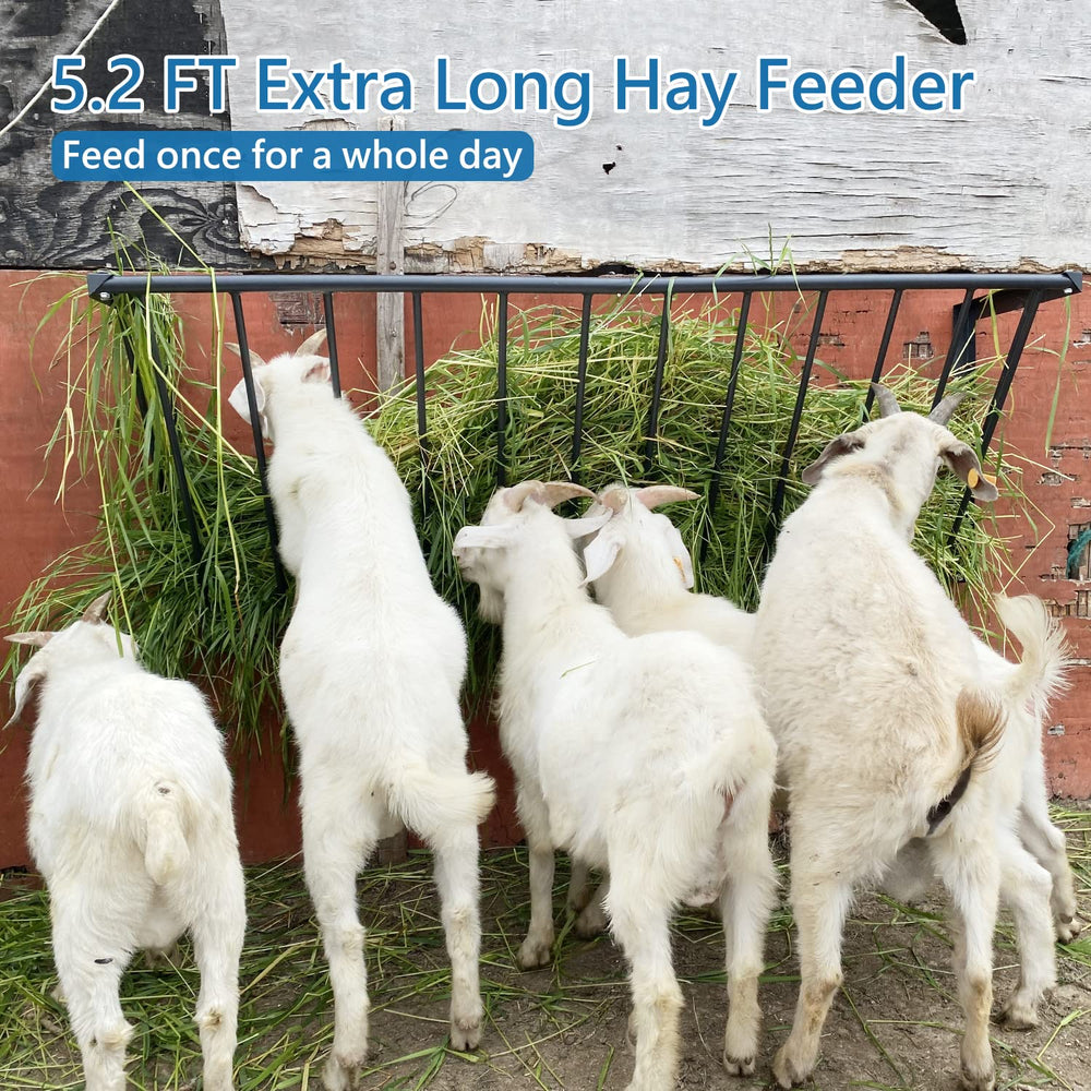 BUYYAH wall-mounted hay rack keeps feeding off the ground to save space.