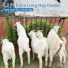 BUYYAH wall-mounted hay rack keeps feeding off the ground to save space.