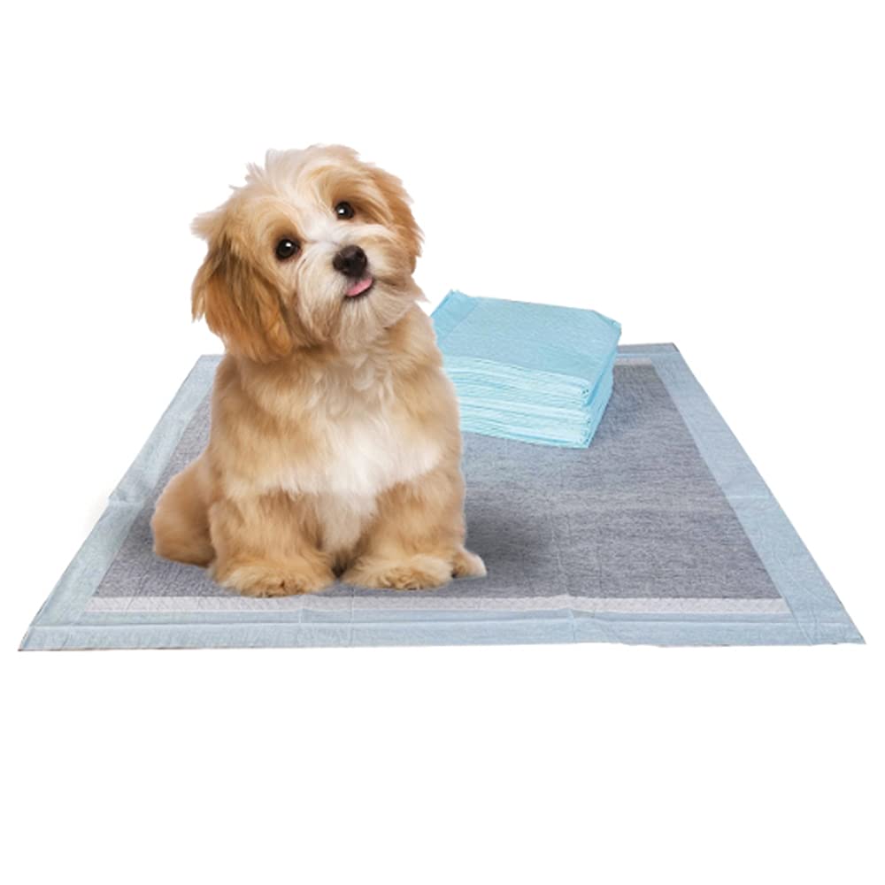 BV Charcoal Puppy Pads bulk pack offers 100-count convenience for home training.