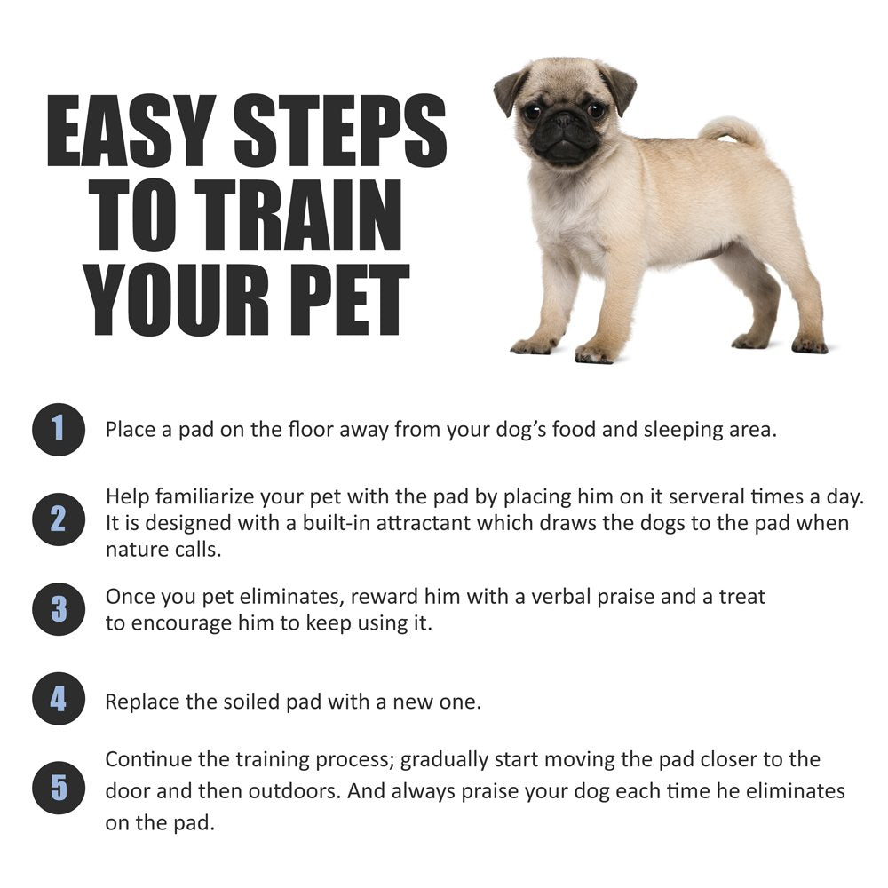 BV Charcoal Puppy Pads 100-count pack is ideal for travel and training.