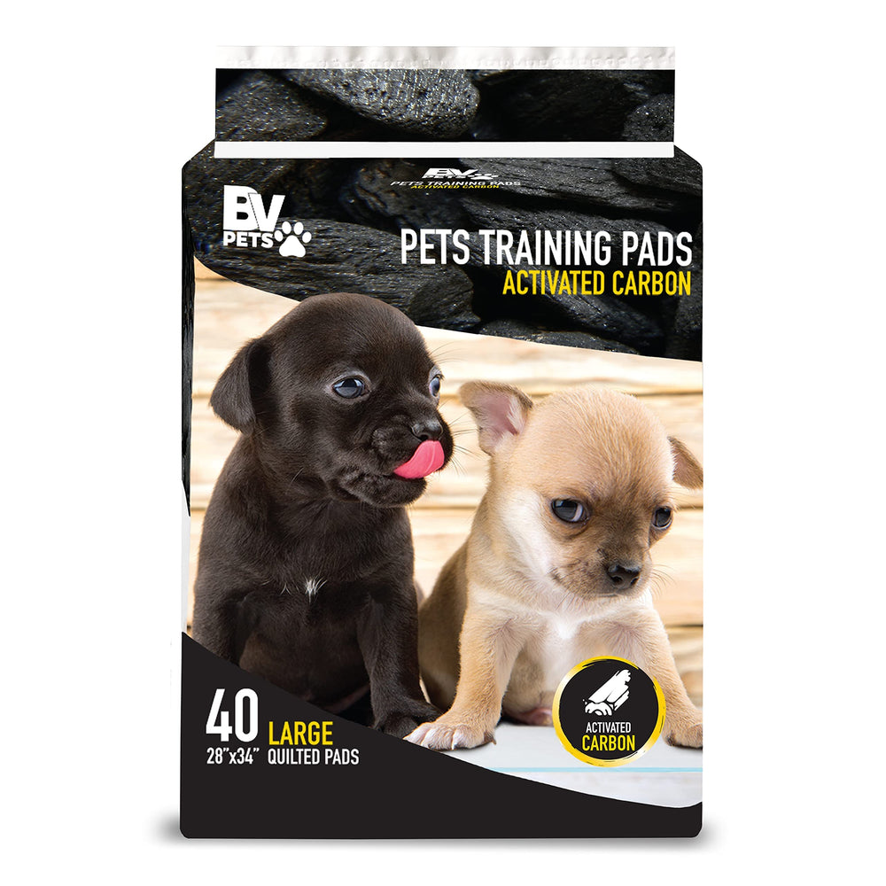 BV Charcoal Puppy Pads XL in-training use showing soft, sturdy training surface