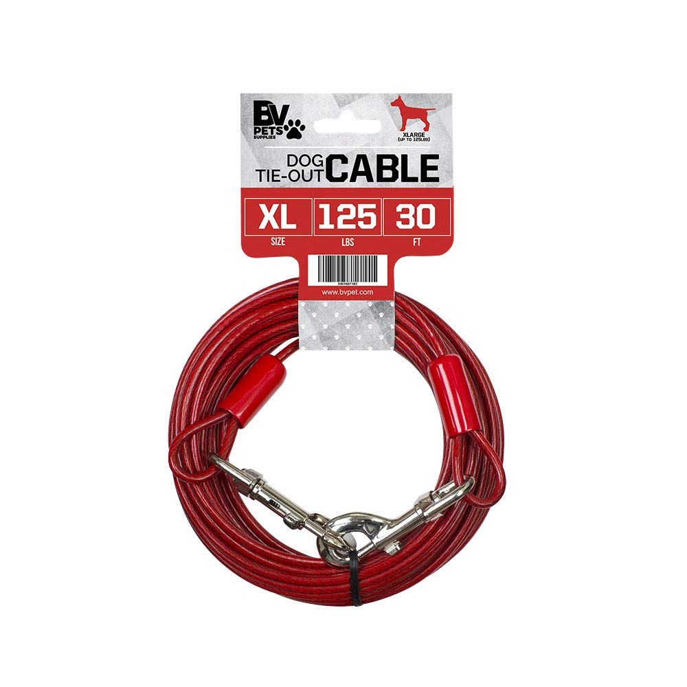BV dog tie out cable 30ft yard setup demonstrating ample space for outdoor exploration.