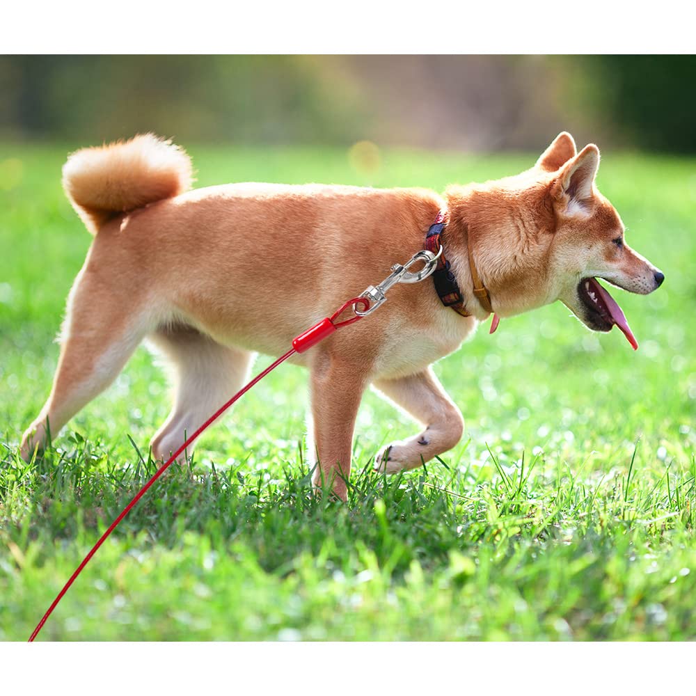 BV dog tie out cable rotating clasp reduces tangling during yard roams.
