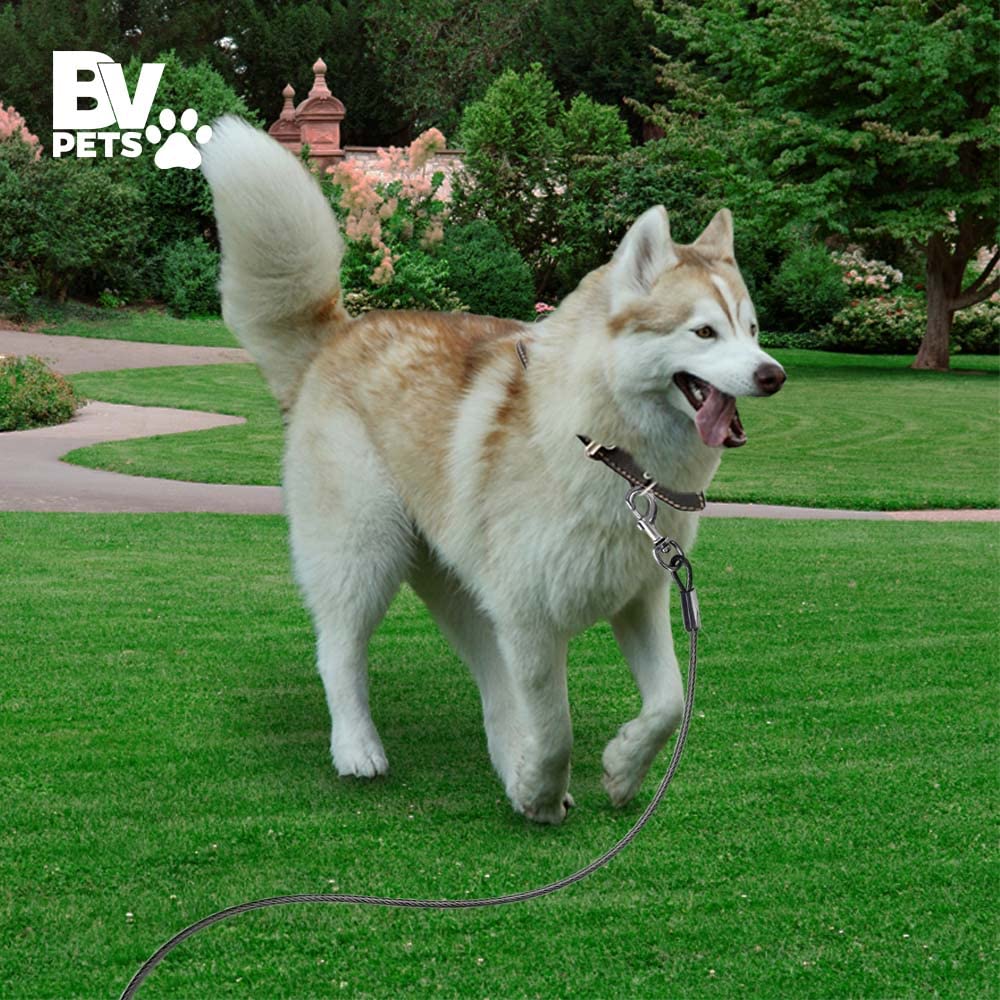 BV Dog Tie Out Cable enhances night visibility for safer yard time.