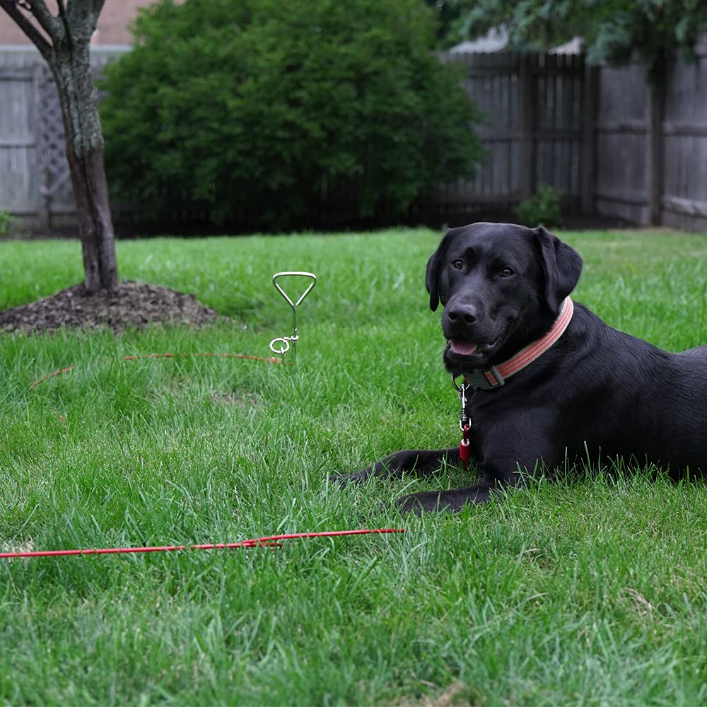 BV dog tie out cable heavy-duty design for long-lasting yard use.