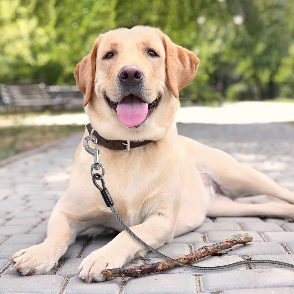 BV Dog Tie Out Cable shows reflective vinyl cover for safer nighttime walks.