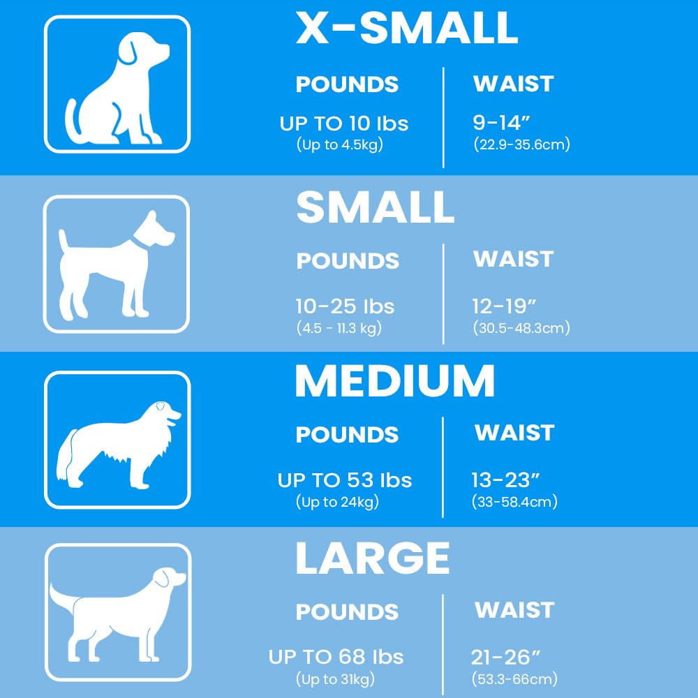 BV Dog Wraps Male Medium suitable for indoor training and travel.