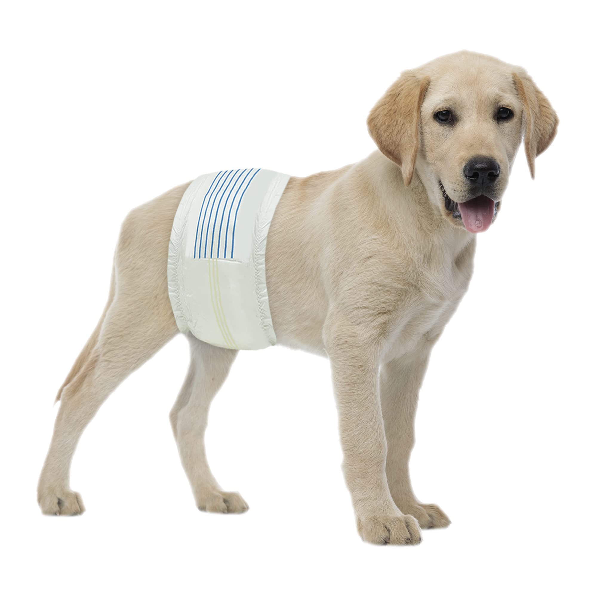 BV Dog Wraps Male Medium with 13-23in waist and 400-count pack for coverage.
