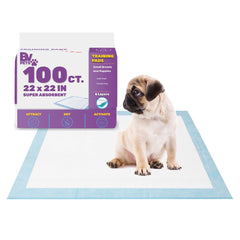 BV Puppy Pads leak-proof 6-layer design helps keep floors dry during training.
