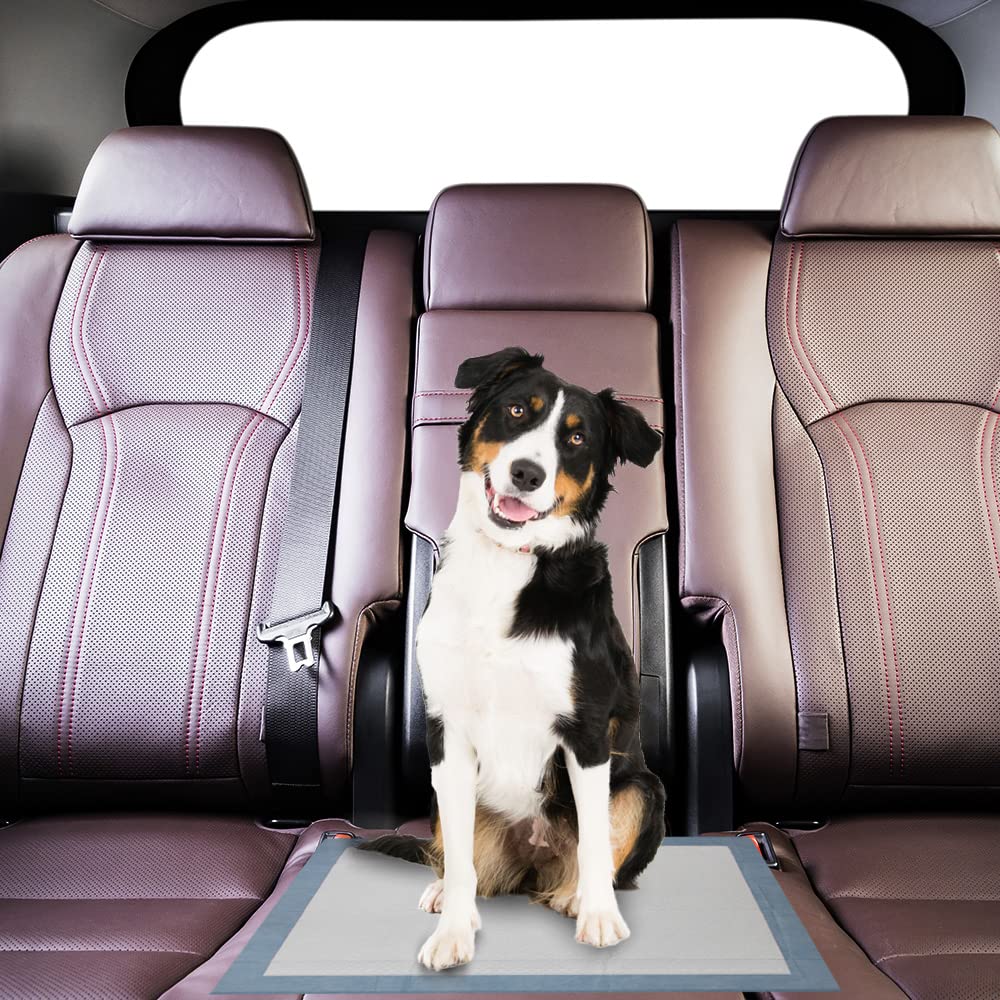 BV Puppy Pads XL ideal for indoor training and overnight use