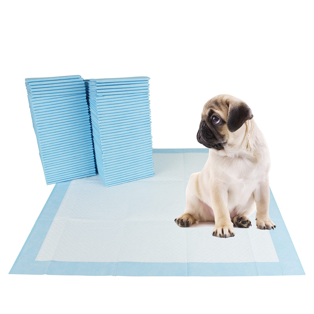 BV Puppy Pads XL indoor-use scenario in living room described
