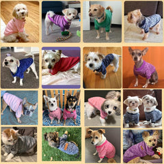 Bwealthest two-pack dog sweaters small-dog-fit shown on a teacup breed for snug comfort.