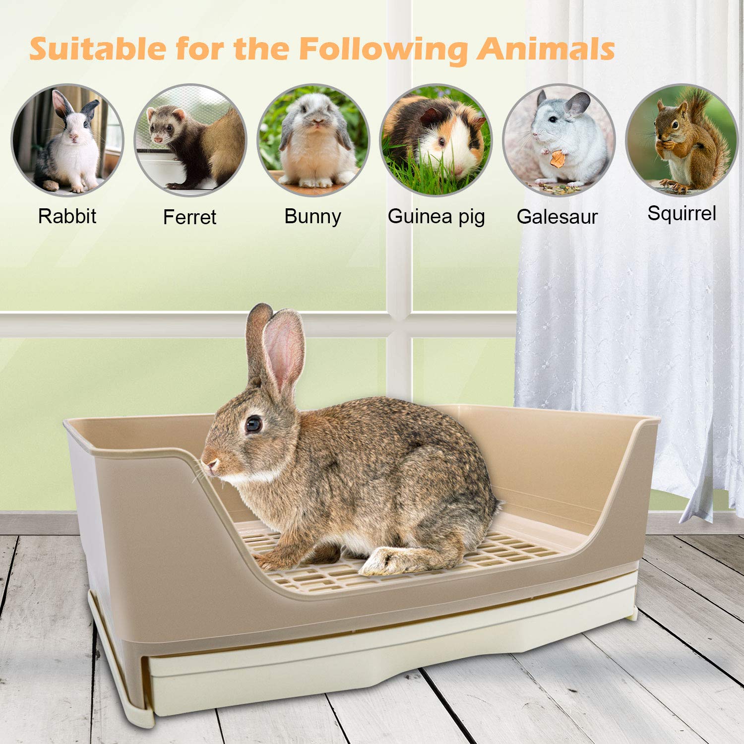 BWOGUE buckle-design-prevents-drag keeps the litter tray secured during use.