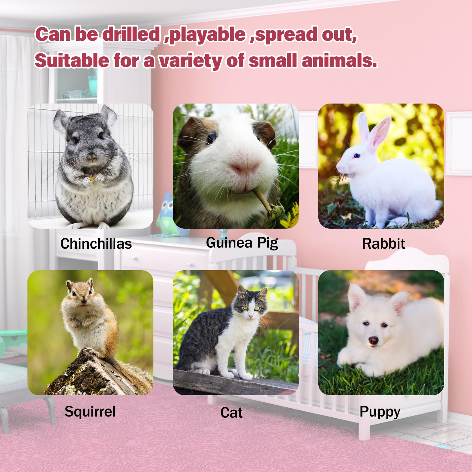 BWOGUE Bunny Tunnel Small Pets Use demonstrates compatibility with guinea pigs, rabbits, and kittens.