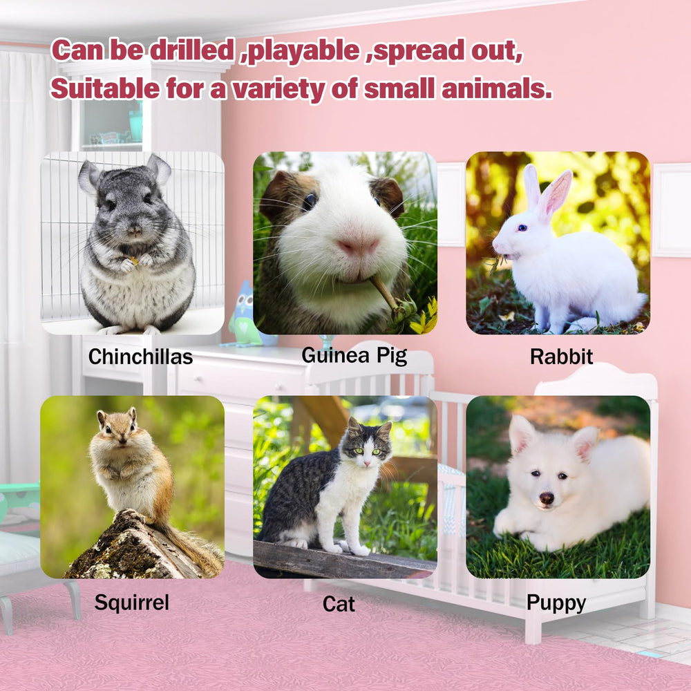 BWOGUE Bunny Tunnel Small Pets Use demonstrates compatibility with guinea pigs, rabbits, and kittens.