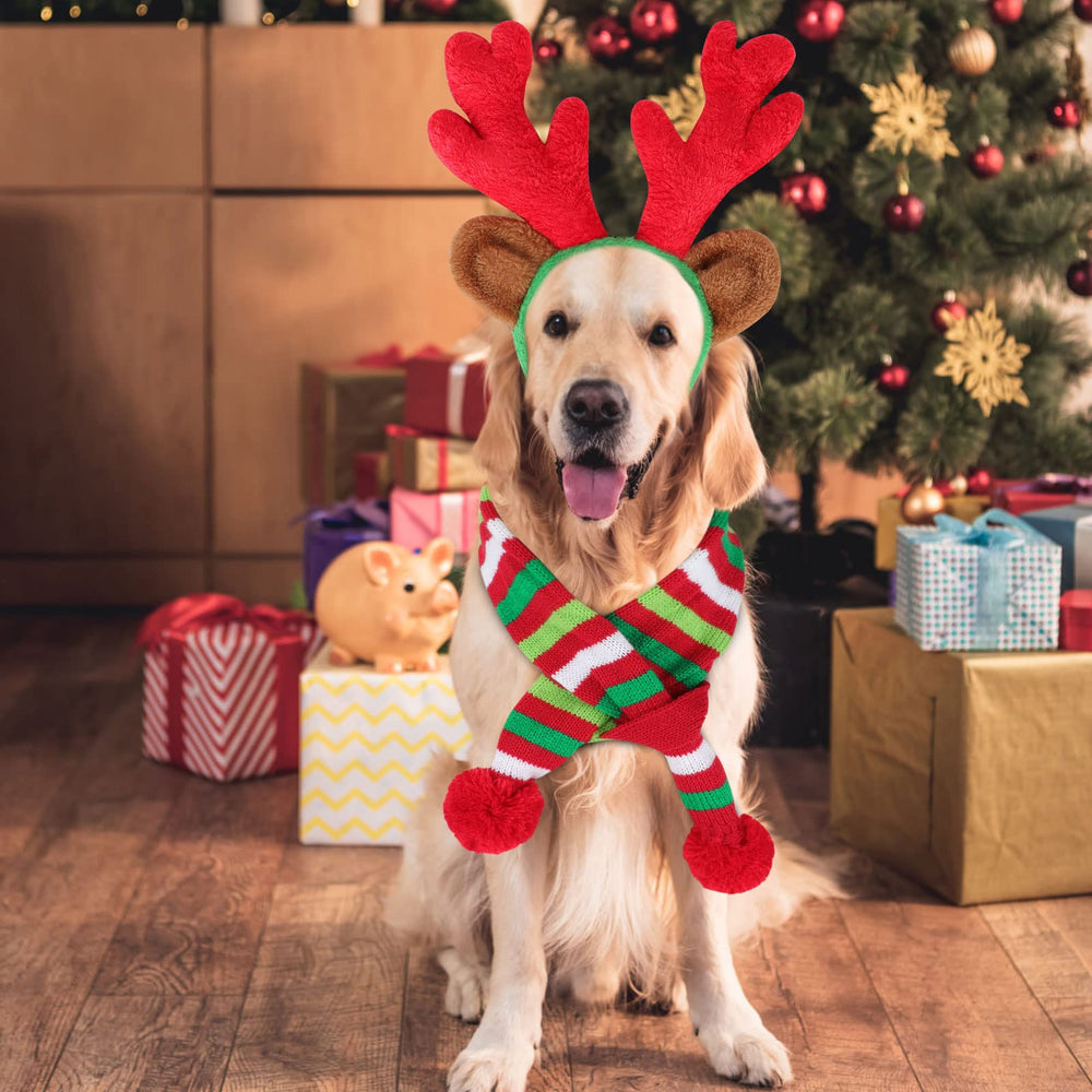 BWOGUE cat and dog Christmas set ready for cute holiday photos.
