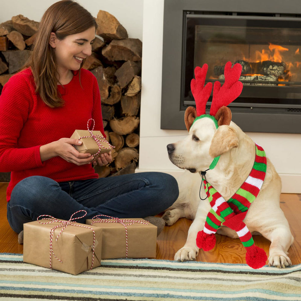BWOGUE festive pet photo prop set ideal for holiday moments.
