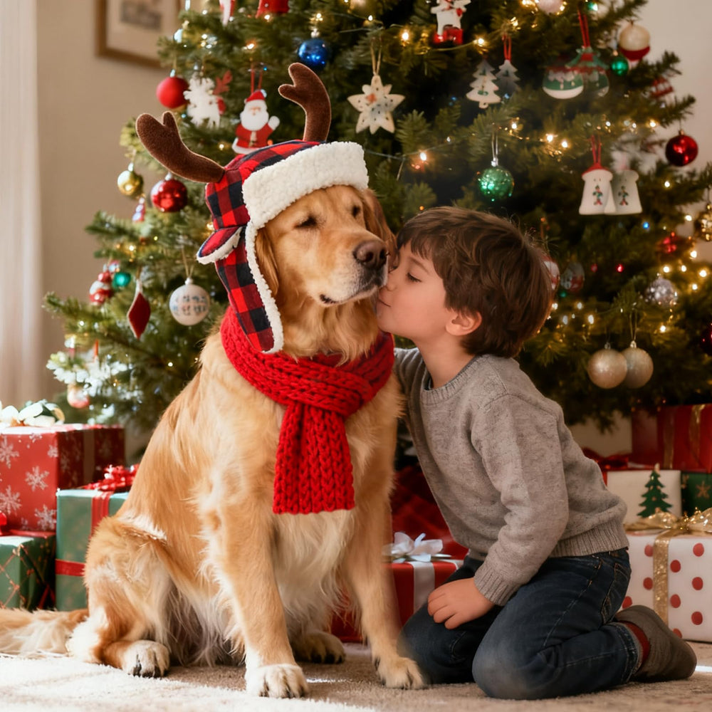 BWOGUE festive dog costume ideal for parties and holiday photos.