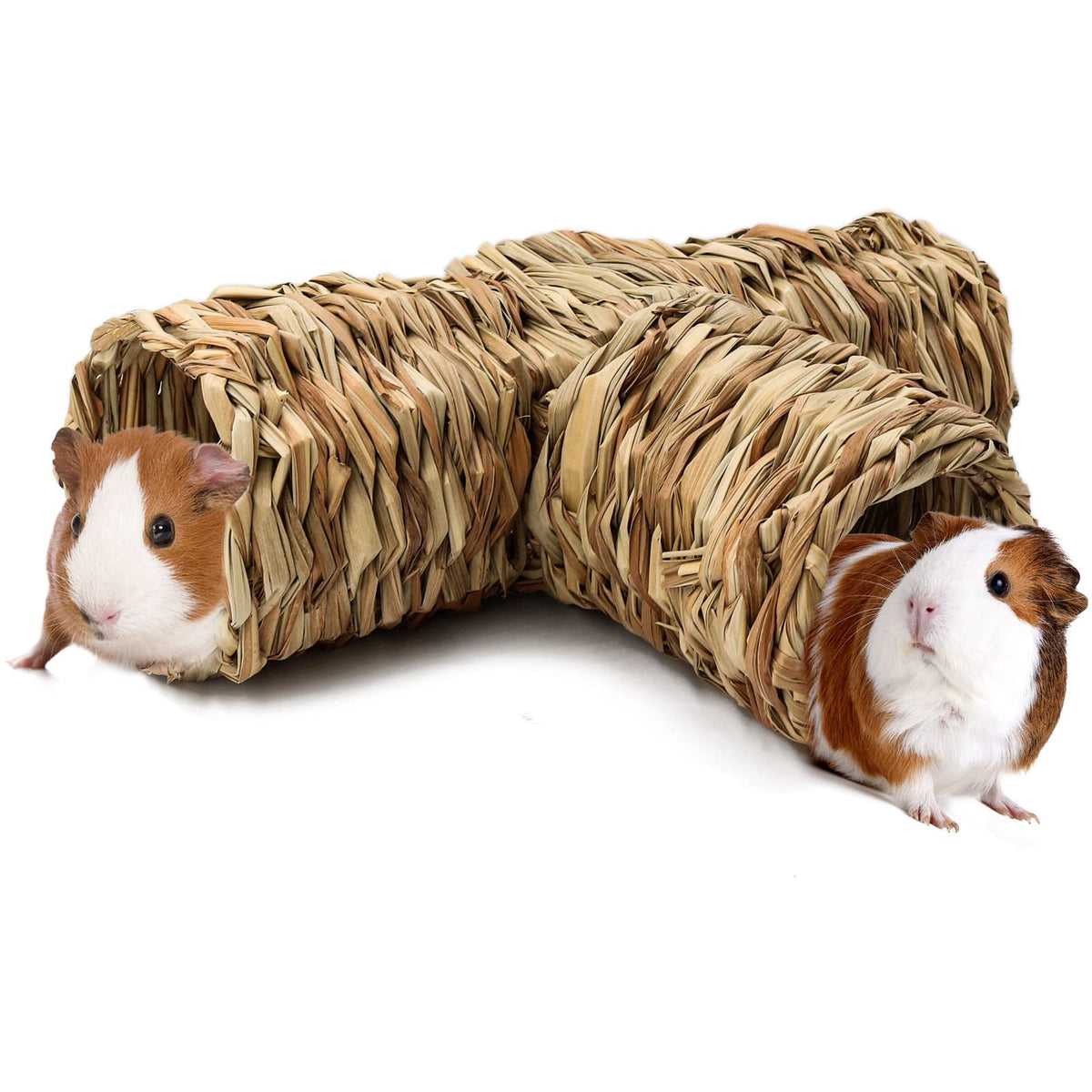 BWOGUE Hamster Grass Tunnel front view showing inviting hideaway for burrowing and play.