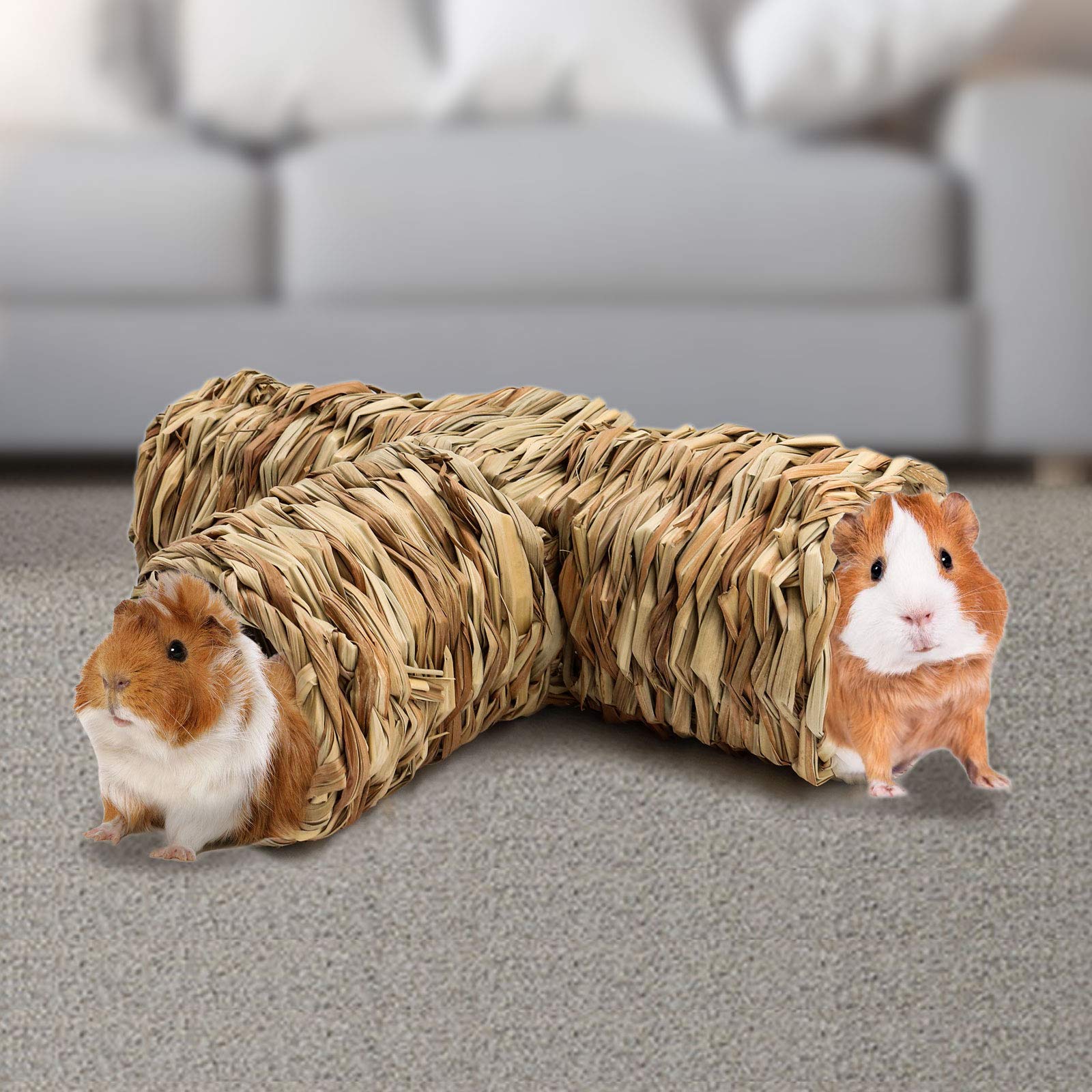 BWOGUE Hamster Grass Tunnel packaging image suggesting easy setup and quick play.