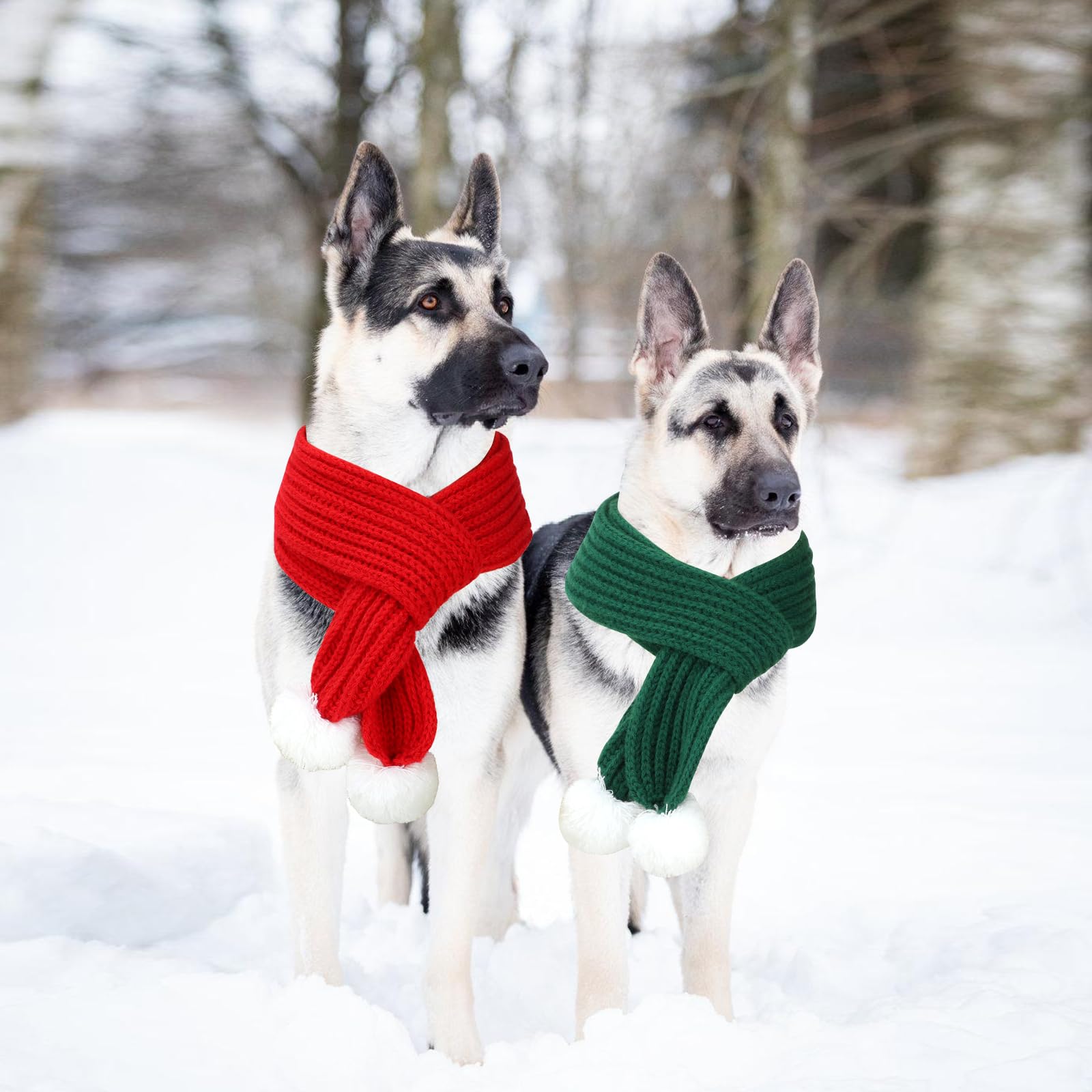 BWOGUE holiday photo setup showcases winter styling for pets