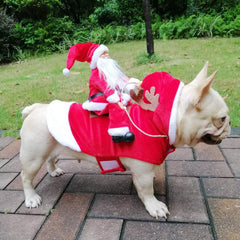 BWOGUE Santa Dog Costume model wearing the outfit during a festive moment.