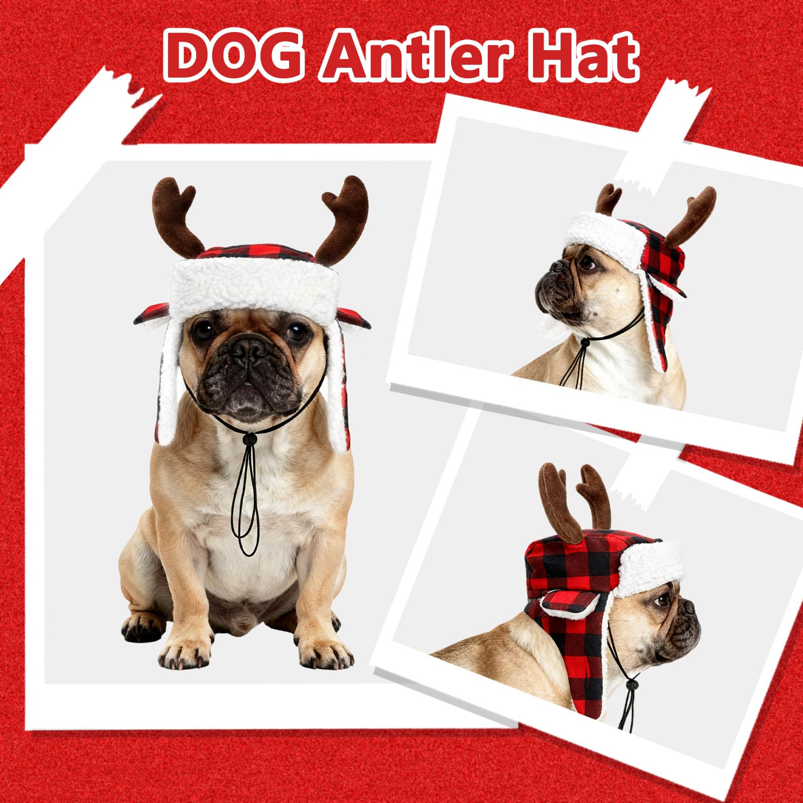 BWOGUE size chart helps select best fit for small dog breeds.