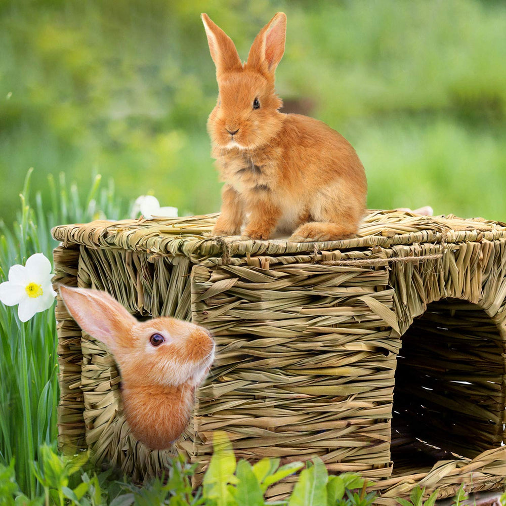 BWOGUE two-pack grass house ideal for siblings or multi-pet homes.