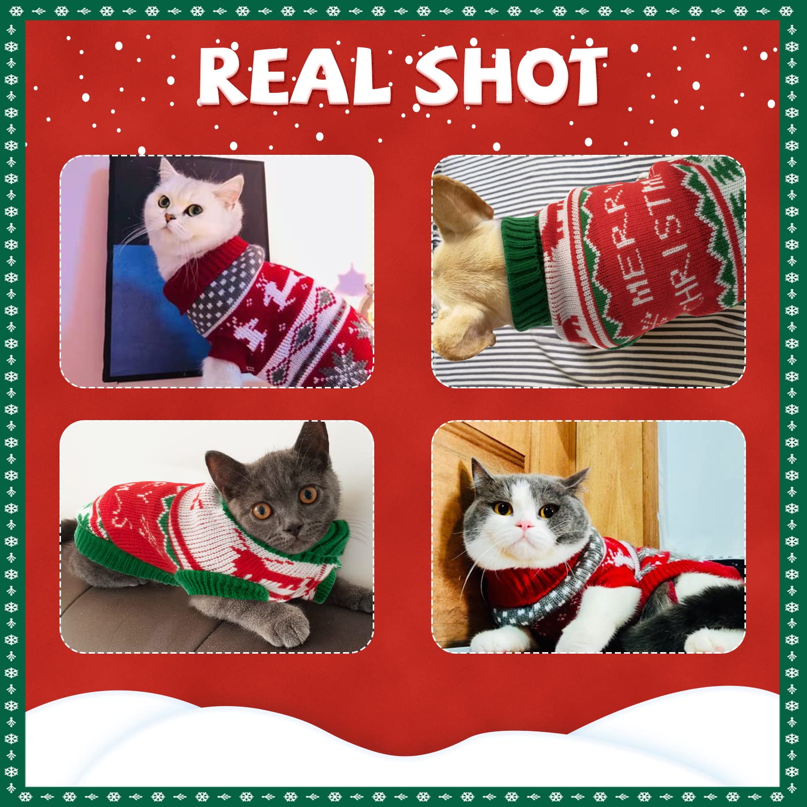 BWOGUE winter-ready sweater for cats and small dogs ideal for photos