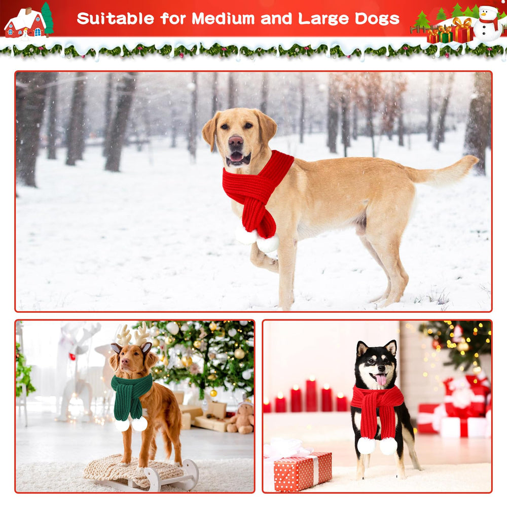 BWOGUE two-piece set ready for gifting and multi-pet households