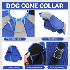 BXPAW dog cone in post-surgery setup provides protective coverage to prevent licking