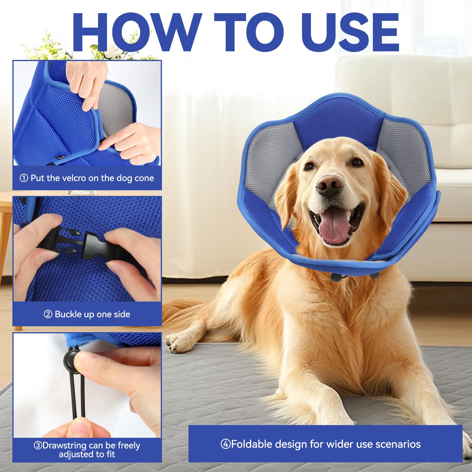 BXPAW e-collar folds flat for compact travel storage