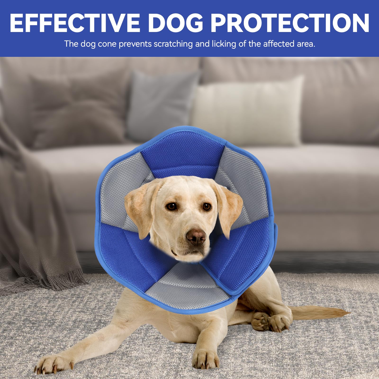 BXPAW dog cone with hook-and-loop closure for secure, adjustable fit