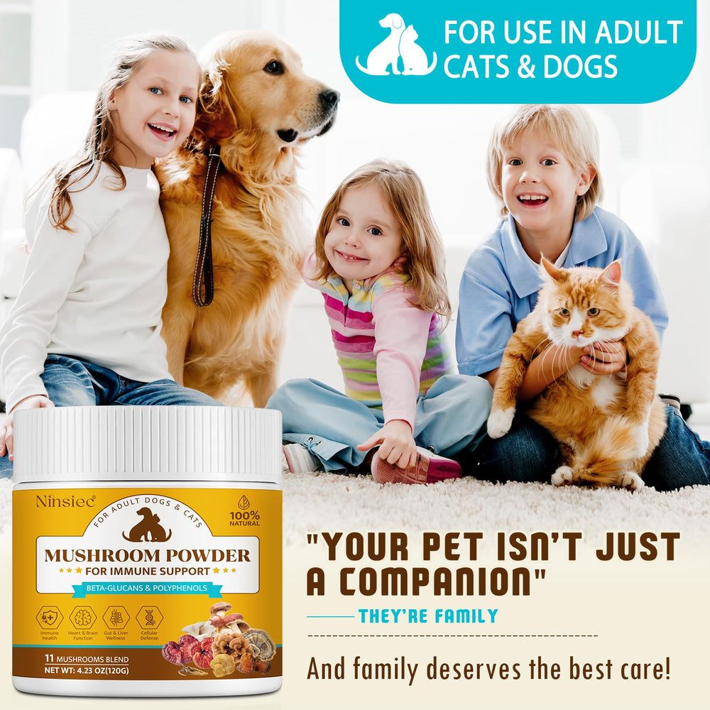 BXRUIAGN daily-use pet supplement serving scoop shown for senior or sensitive pets.