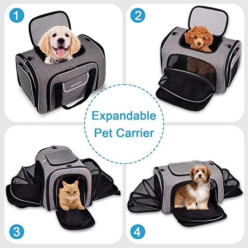 Bytaoqipet odor-free mesh carrier for calm, breathable transport