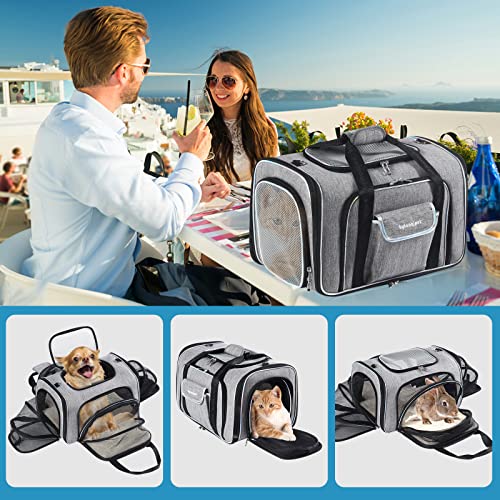 Bytaoqipet cat carrier with removable plush pad for cozy warmth