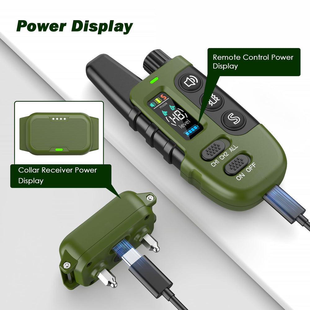 ByteRoll dual-channel remote enabling training two dogs.